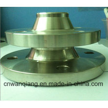 Stainless Steel Forged Flanges